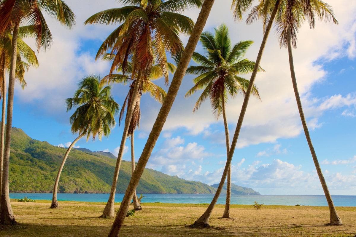 Samaná, República Dominicana - Paquete turístico 7 noches todo incluido desde USD 1,675. Traslados, Hotel 5 estrellas